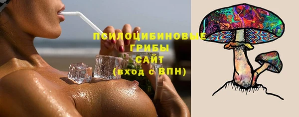 гидропоника Магас